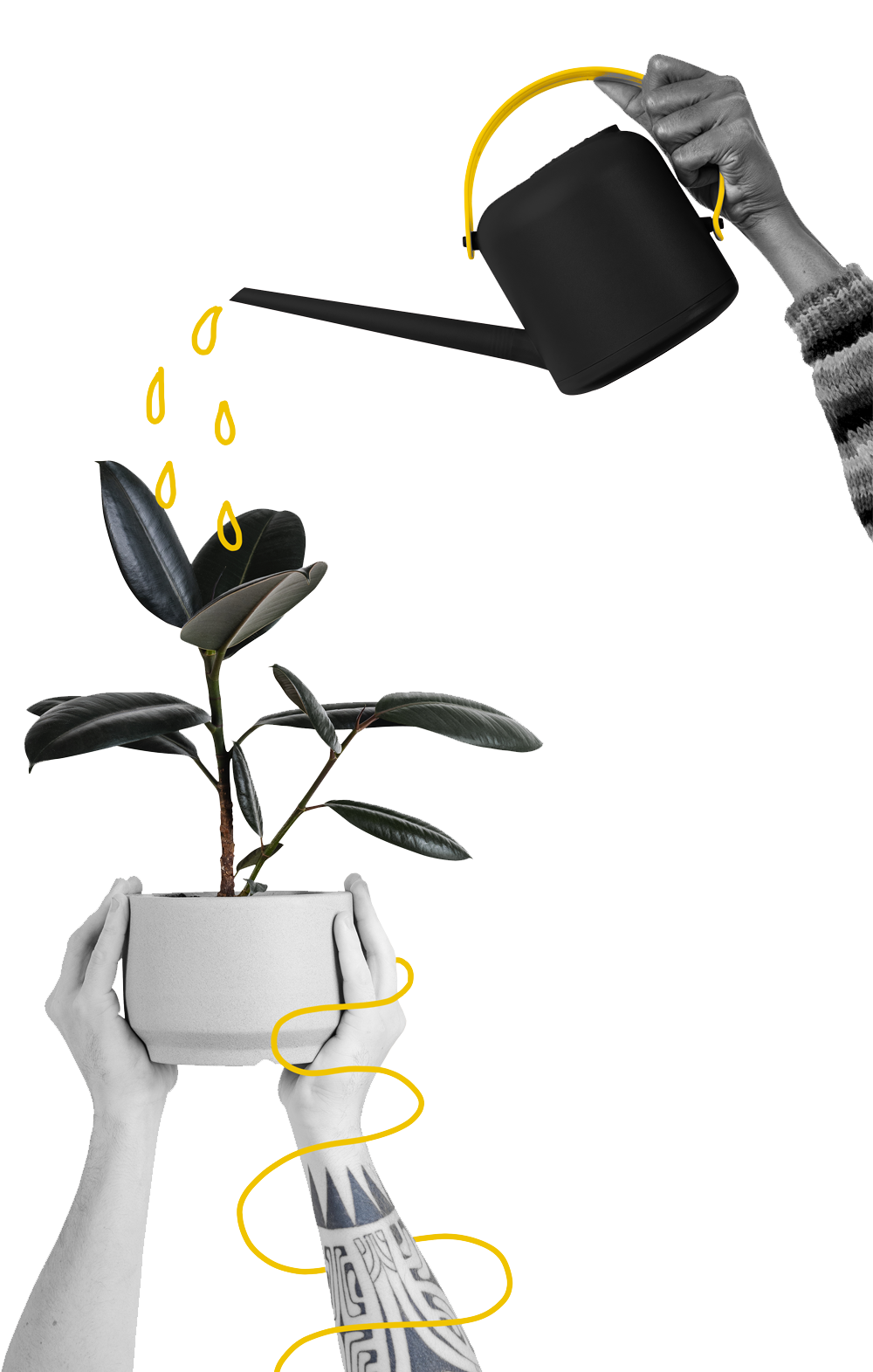 رزرو نوبت آنلاین قرارهای ملاقات حضوری وغیر حضوری برای مشاوره رزرو نوبت آنلاین قرارهای ملاقات حضوری وغیر حضوری برای مشاوره